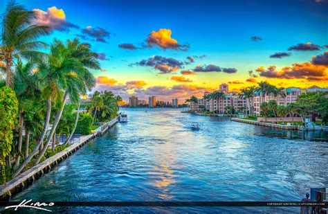 Boca Raton Waterway Coconut Palm Trees Hdr Photography By Captain Kimo