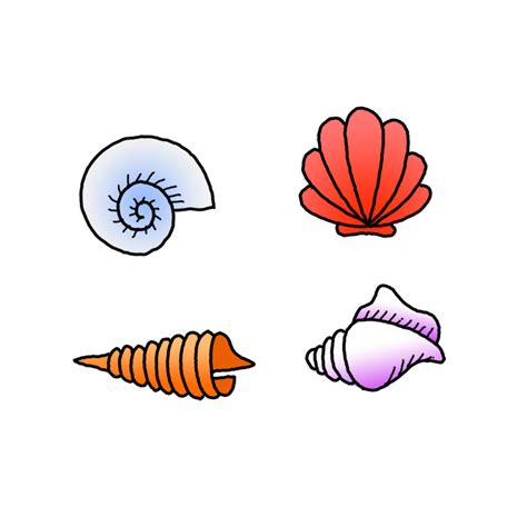 How To Draw A Seashell Step By Step Easy Drawing Guides Drawing Howtos