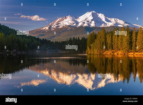 View On Mount Shasta From Lake Siskiyou Mt Shasta Is A Volcano At