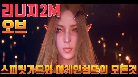 리니지2m 오브 2700만 영웅스킬 스피릿가드와 아케인쉴드이뮨투함의 모든것 Youtube