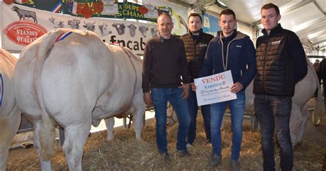 Au Concours Danimaux De Boucherie Dautun Des Bovins Et Des Agneaux