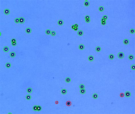 HeLa Logos Biosystems Advanced Imaging Solutions For Research