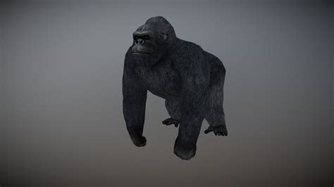 Gorilla-3d-model 3D models - Sketchfab