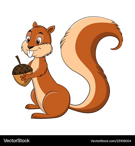 Top Animated Squirrel Clipart Lifewithvernonhoward