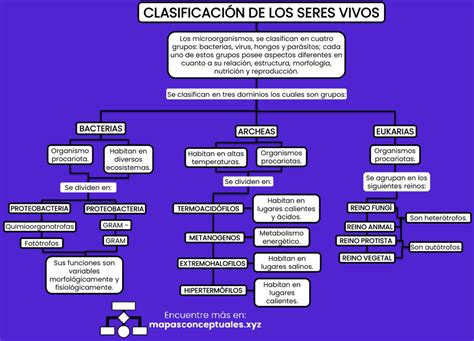 Mapas Conceptuales Clasificaci N De Los Seres Vivos Descargar 146461