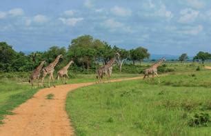 Safari d une journée dans le parc de Saadani Safari depuis Zanzibar