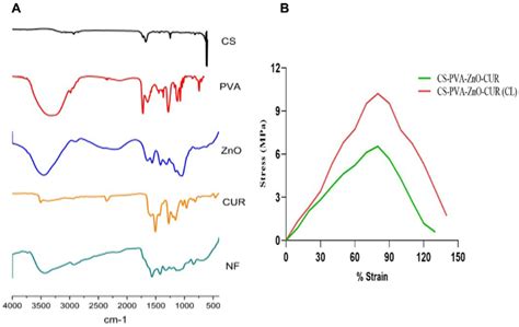 A Ftir Spectra Of Cs Pva Zno Cur And Cs Pva Zno Cur Nanofiber And Download Scientific