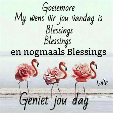 Pin By Gwen Olckers On Afrikaans Morning Inspirational Quotes