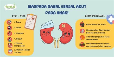 Kenali Ciri Dan Cara Mencegah Gagal Ginjal Akut Pada Anak