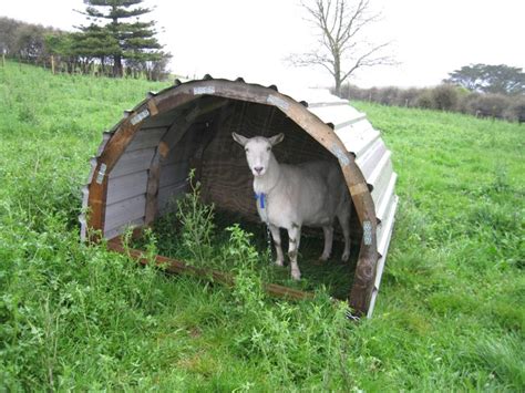 Plans For A Curved Goat Shelter Johngeeknz