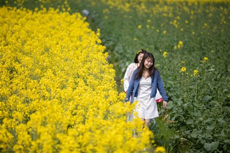 组图丨秀山：踏青赏花享春光 新重庆客户端