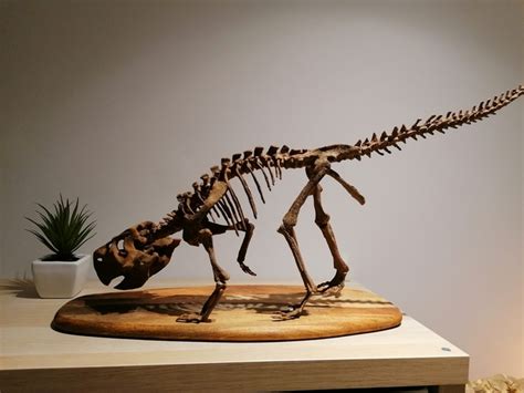 3d Printable Dinosaur Skeleton