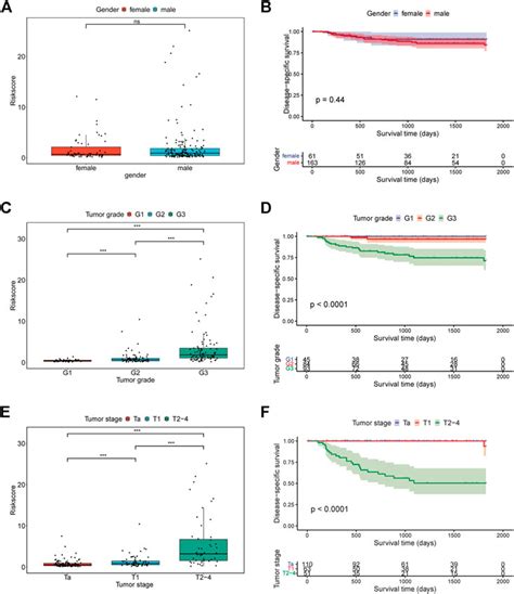 Frontiers Identification Of A Hypoxia Related Signature For