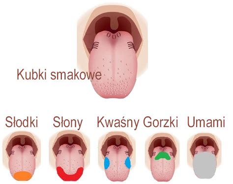 AnanAsy z Naszej Klasy JESIENNA SAŁATKA