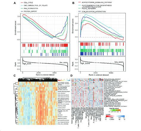 Kegg Go Analysis Of Frgs In The E Frg Model A Kegg Analysis