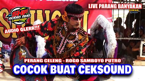 Shafira Audio Perang Celeng Jaranan Rogo Samboyo Putro Live Bamban