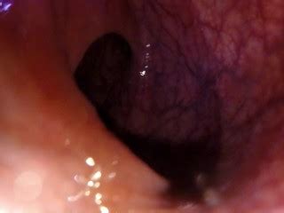 POV把你吞进我横向的尖端 Pornhub Gay