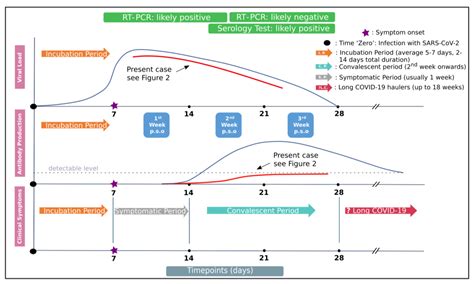 Viruses Free Full Text Sars Cov Antigenemia As A Confounding