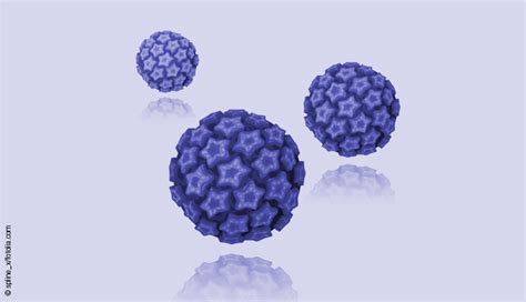 HPV, cervical cancer and the prevention - EUROIMMUNBlog