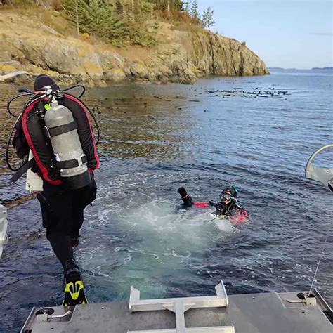 Samish Nation Protects Breathtaking Kelp Forests Nearshore Habitat Salish Current