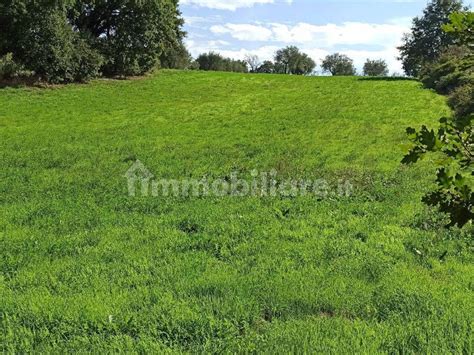 Terreno Agricolo Strada Provinciale Viterbo Rif 112180547