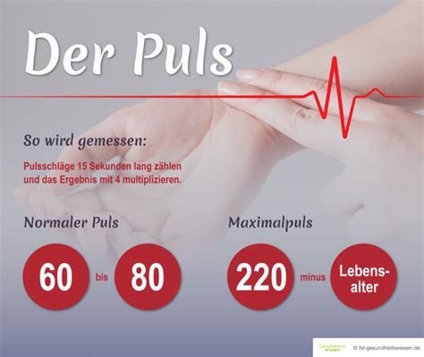 Genial Was Ist Der Puls Hot Sex Picture