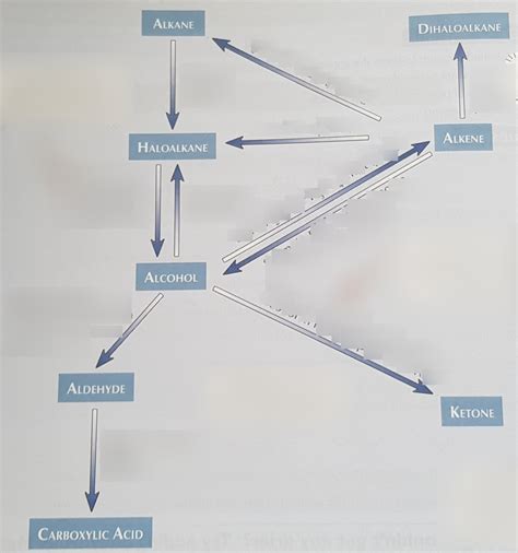 Diagram Of Synthetic Routes Quizlet