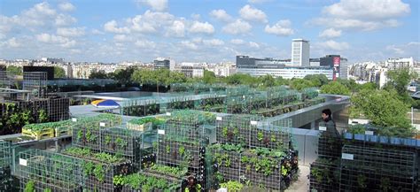 Agriculture urbaine un nouveau potager en ville clé en mains pour