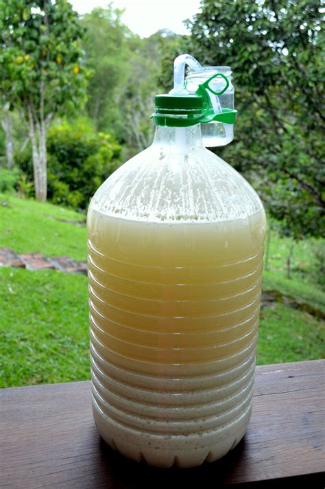 How To Make Your Very Own Rice Wine Expatgo