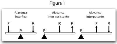 Quest O De Acordo A Mec Nica Cl Ssica S O Reconhecidos Tr S Tipos