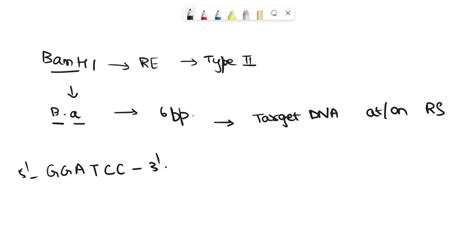 Solved What Is The Correct Scientific Term For The Recognition Sequence Of A Restriction Enzyme