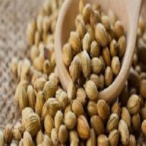 Healthy And Natural Coriander Seeds Admixture At Best Price In