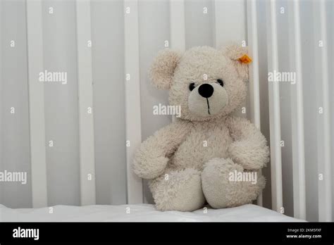 White Teddy Bear Polar Bear Cuddly Snuggly Toy In Baby Cot Childs Bed