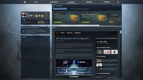 Steam Community Csgo Profile The Global Elite 2015