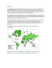 Cartograma Circular Berenice Lopez Docx Cartogramas Los Cartogramas