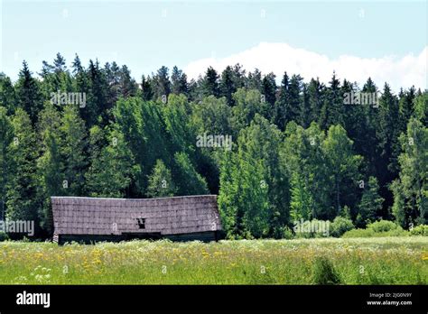 The beautiful nature of Latvia Stock Photo - Alamy