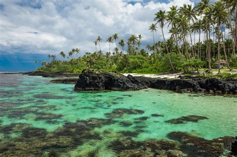 Playa Tropical En El Lado Sur De La Isla De Samoa Con Palmeras De Coco