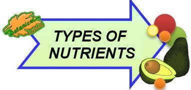 What Are Nutrients And Why Do You Need Them Off