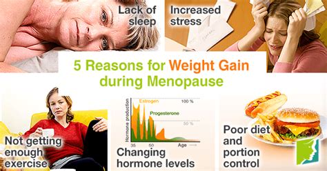 5 Reasons For Weight Gain During Menopause