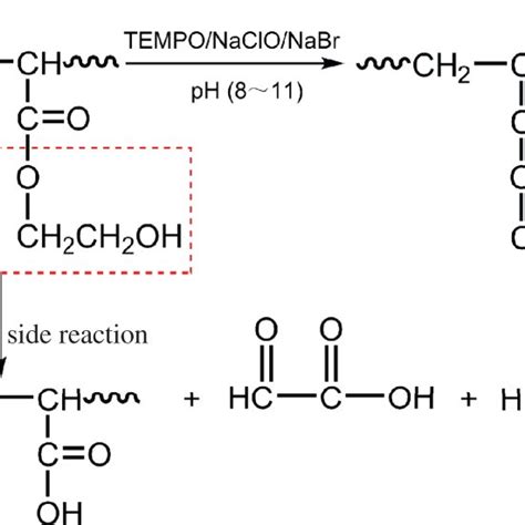 Schematic Diagram Of Tempo Mediated Oxidation Of Phea And The Possible Download Scientific