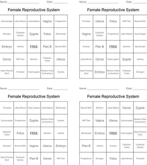 Female Reproductive System Bingo Cards Wordmint