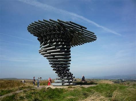 Поющее дерево в Барнли