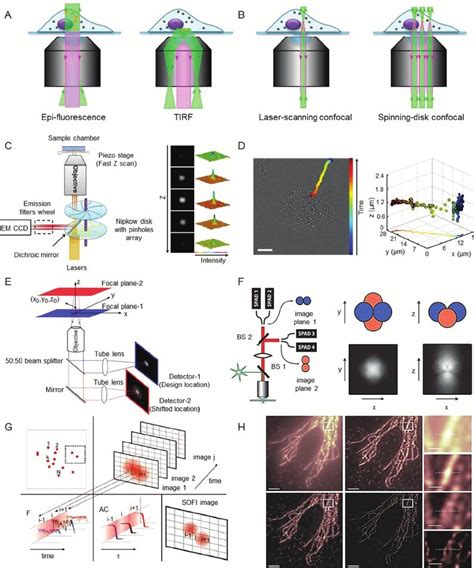 Fluorescence Microscopies For Qd Imaging A Epi Fluorescence