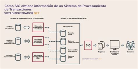 Qué Es Un Sistema De InformaciÓn Gerencial