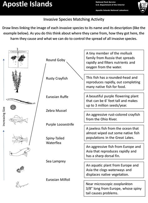 Invasive Species Questions And Answers