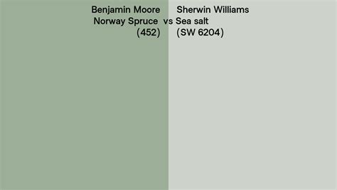 Benjamin Moore Norway Spruce Vs Sherwin Williams Sea Salt Sw