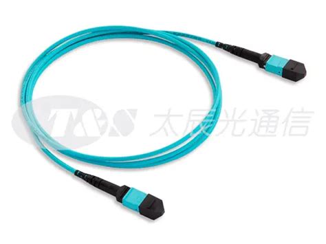 Mtp Mpo Trunk Cable Fiber Optic Trunk Cable Cabling Supplier Tands Communication