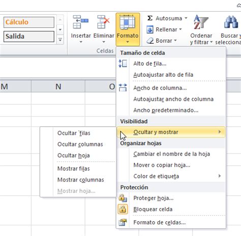 Pirat Kriminalität Übertreiben como ocultar columnas en excel Werkzeug