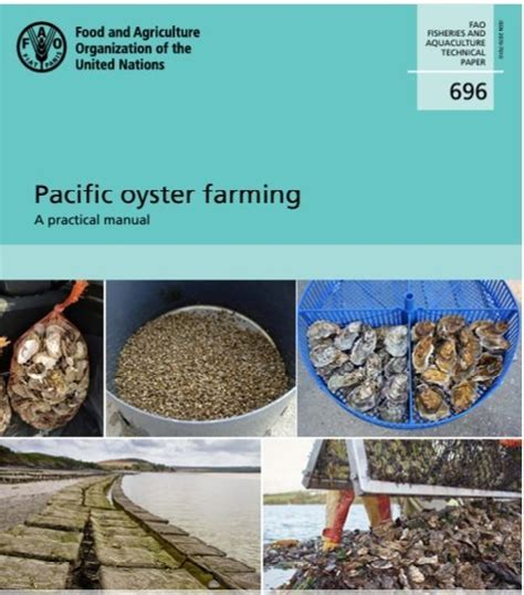 Interested in Pacific oyster farming? Download a comprehensive manual