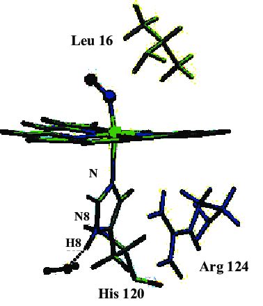 Calculated First C No Intermediate Upon Reaction Of Cyt C From Axcp